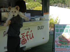-爪吧宠物乐园·宠物泳池(温榆河示范区店)