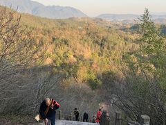 -天台山赤城山景区