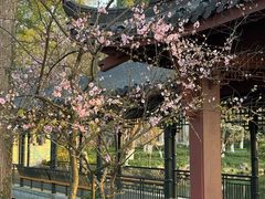 -浙江西子宾馆·牡丹厅