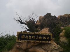 -大槐树寻根祭祖园