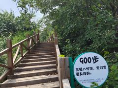 -大岭沟猕猴桃谷风景区