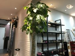 -爱美丽科技美肤中心