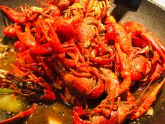 -嘉定凯悦·咖啡厅