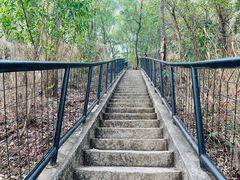 -番禺大夫山森林公园