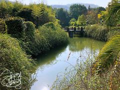 -咸宁万豪温泉谷度假区