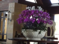 -三亚湾海居铂尔曼度假酒店