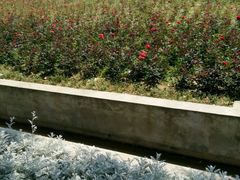 -漩门湾国家湿地公园