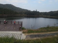 -海南热带雨林国家公园吊罗山景区