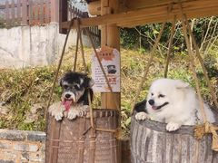 -塔川景区