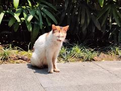 -广州兰圃
