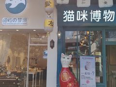 -猫咪博物馆(顶澳仔猫街店)