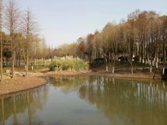 -尚贤河湿地