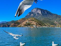 -丽江泸沽湖景区