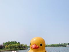 -杭州湾海上花田景区