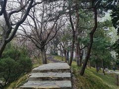 -团结湖公园