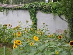 -国家植物园南园