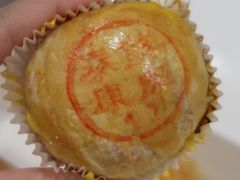 鲜肉月饼-百年泰康鲜肉月饼