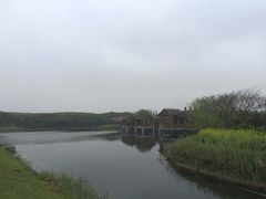 -同里国家湿地公园