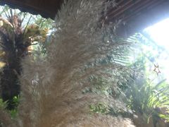 大堂-美丽心情蛋糕(江苏路店)