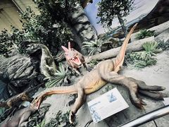 -国家自然博物馆