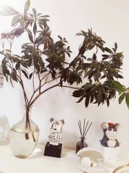 -美肤盾祛痘·问题肌头疗管理中心