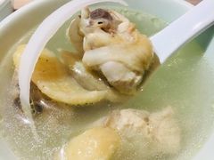 -探窝·竹笙椰子鸡(杨箕店)