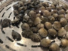-海博汇蒸汽海鲜