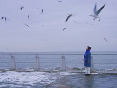 -东疆建设开发纪念公园