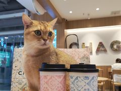 -万达广场(合肥包河店)