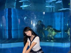 -香港海洋公园