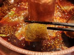 -园里火锅(仁和新城店)