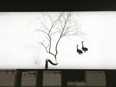 -BLACKSWAN黑天鹅(环球店)