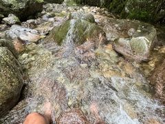 -牛背梁国家森林公园