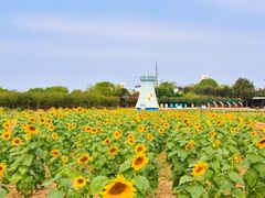 -武汉紫薇都市田园