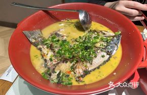 Green Pepper Yellow Catfish