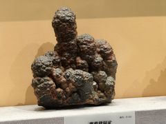 -湖南省地质博物馆