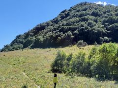 -白草畔自然风景区