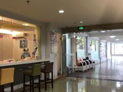 -爱帝宫通乳中心(福田总院)