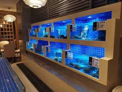 -大理实力希尔顿酒店御璽中餐厅YUXI – CHINESE RESTAURANT