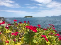 -越海渔村