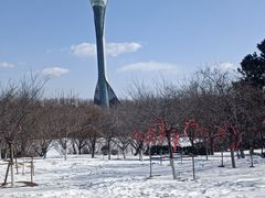 -招商银行(沈阳万泉支行)