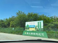 -海上田园