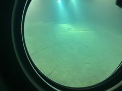 -白鹤梁水下博物馆