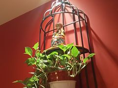 -真地道京味府·鲜橙烤鸭·北京菜(朝阳公园·甜水园店)