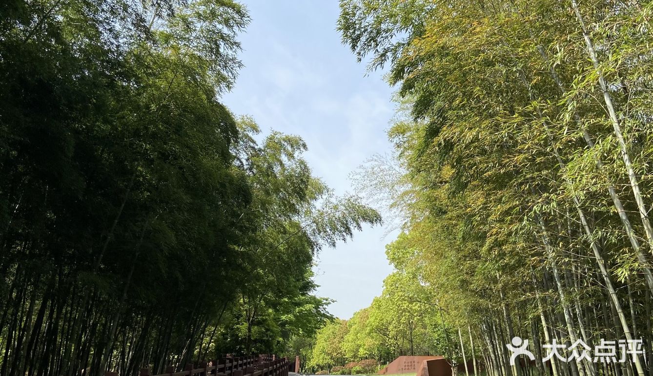 春日图鉴 | 拍照圣地 | 南京高淳国际慢城桠溪