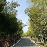春日图鉴 | 拍照圣地 | 南京高淳国际慢城桠溪