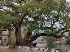 -上坦村