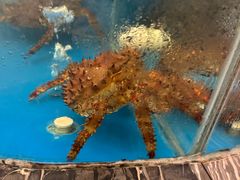 -海上食代(赣江新天地店)