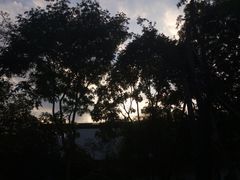 -秋霞圃