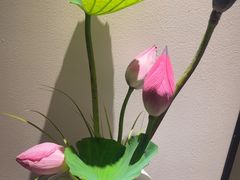 -墨宴(西洋湖店)